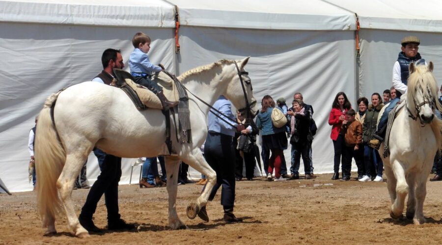 Zahínos aspira a obtener el Interés Turístico Regional para su Rodeo